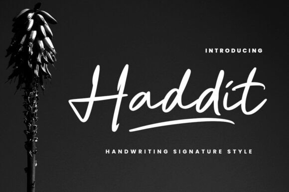 Haddit: A Stylish Script Font